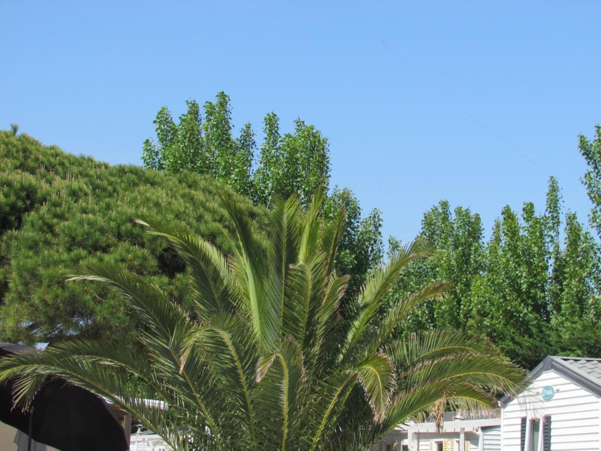 Camping Mobilhome Jacobs Toison D'or Saint-Tropez
